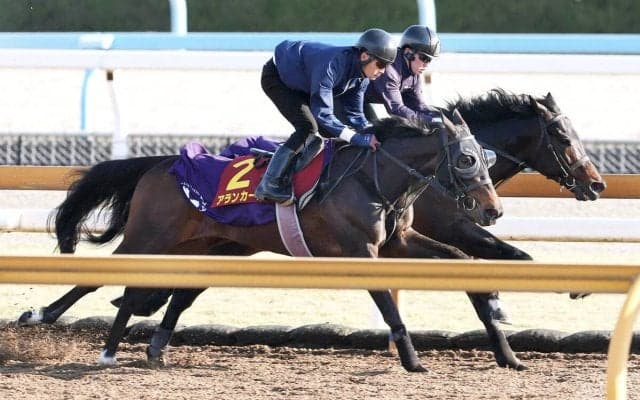 【桜花賞】「久しぶりに勝ちたい」武豊騎手２００４年以来最多６勝目へ良血馬アランカールと「満開」宣言