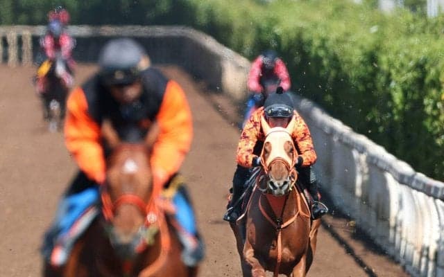 【桜花賞】２歳女王は状態万全　高野調教師「勝たせてあげたい。スターアニスには勝負のレースです」