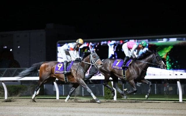 【川崎記念】1番人気アウトレンジは3着まで…坂井瑠「力は出してくれた」レース後ジョッキーコメント