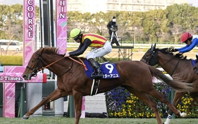 安藤勝己の「３歳牝馬番付」　稀に見る大混戦のなか「大関」「横綱」に選定したのは？