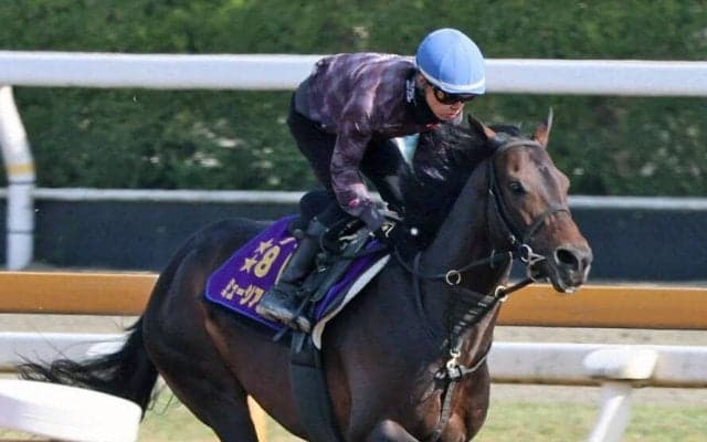 「予想以上に時計が出ている」高柳大調教師もうなずくミュージアムマイル　香港遠征に向けた２週前追いで上昇ぶりアピール　