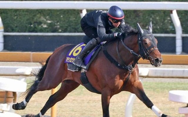 【皐月賞・１週前】若葉Ｓ勝ちマテンロウゲイルがＣＷコースで絶好の動き　野中調教師「見た目よりも時計が出ていた」