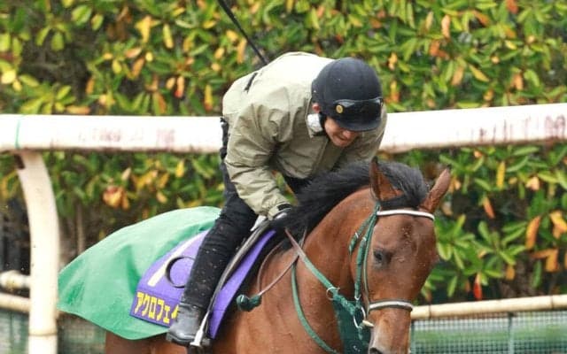 【皐月賞・１週前】スプリングＳ３着アクロフェイズは前走同様に好調　奥村豊調教師「前走と同じ体調で臨めれば十分です」 　