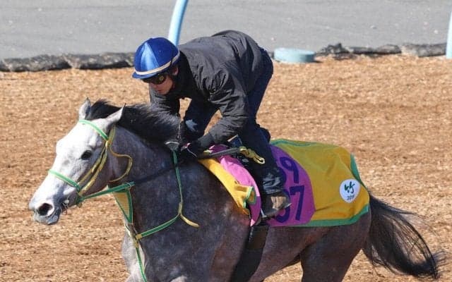 【桜花賞】過去最多勝タイの４枠８番をゲット！　ロンギングセリーヌに竹内調教師「とてもいい枠です」
