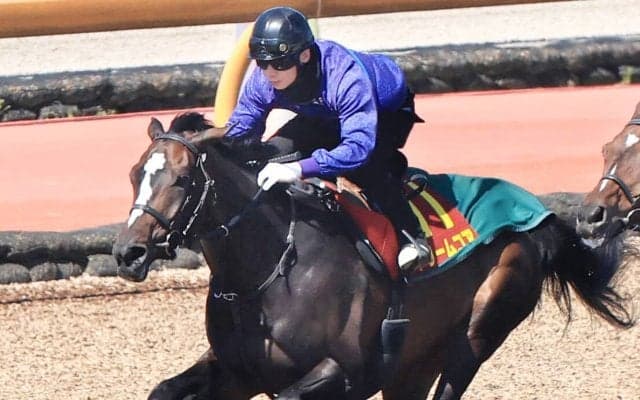 【桜花賞】ドリームコアは０６年以来勝ち星のない７枠１４番　萩原調教師「ジョッキーが対応してくれる」とルメール騎手を信頼