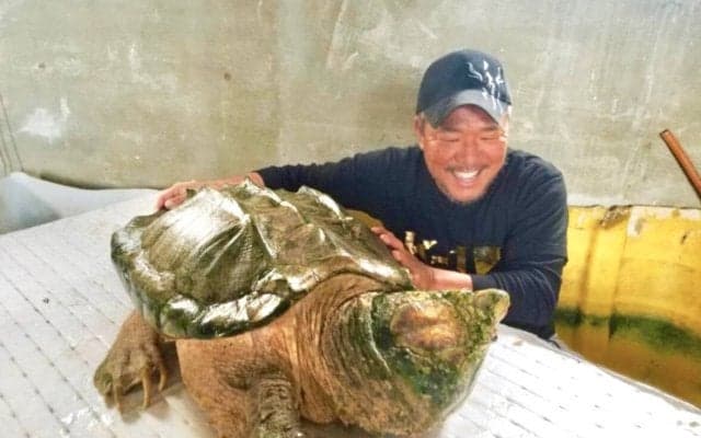亀田家のシンボル・アニマル逝く　１２０センチ、５０キロ　一家見守ってきた４０歳巨大ワニガメのビックマン…史郎さん「悲しい」