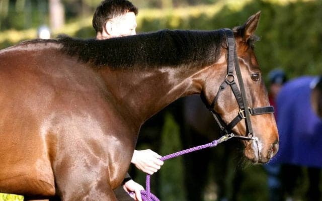 【桜花賞】武豊騎手とアランカールは４枠７番から差し切りを狙う　斉藤崇調教師「武さんにお任せするだけです」