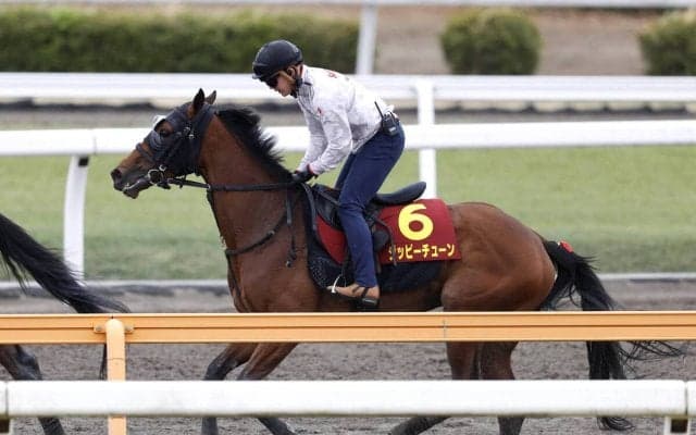 【桜花賞】４５年ぶり勝利へ！６枠１１番に入ったジッピーチューン　林調教師「状態は間違いなく今までで一番いい」