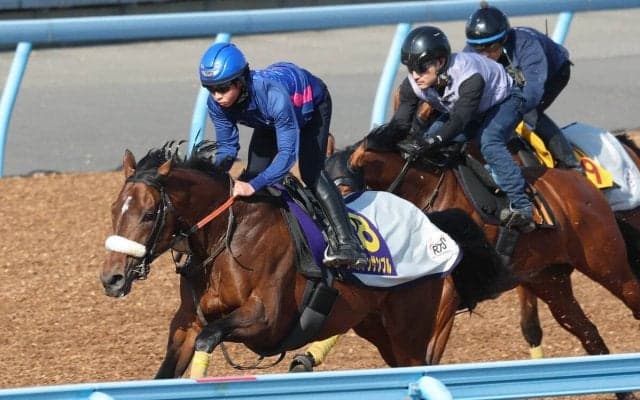 【皐月賞・１週前】３頭併せで豪快に最先着！すみれＳを勝ったラージアンサンブル　武井調教師は「成長著しいです」と期待