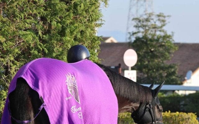 【忘れな草賞】重賞Ｖの兄テラに続け！　アドマイヤシュラは樫ロードへ勝負駆け　友道調教師「改めて、この距離で」