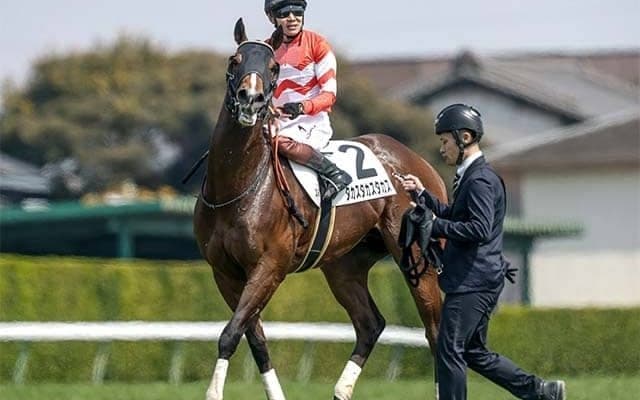 馬主は高須クリニックの高須克彌氏 タカスタカスタカスが今度こそ2勝目なるか
