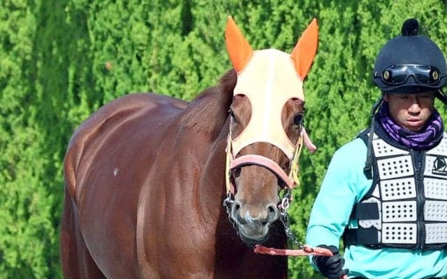 【桜花賞】２歳女王スターアニスは７枠１５番　高野調教師「与えられた枠でジョッキーに任せます」