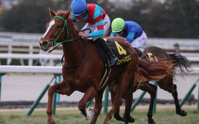 【競馬予想】識者選定の「３歳牝馬ランキング」　クラシックを目前にして新勢力の台頭はあったのか
