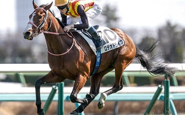 【ニュージーランドT枠順確定】ロデオドライブは4枠7番、ヒズマスターピースは3枠4番