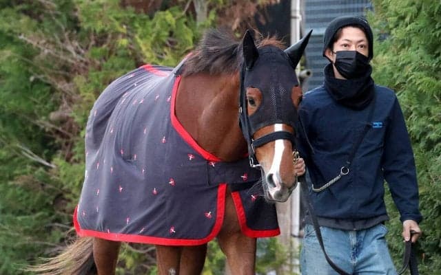 【桜花賞】フェスティバルヒルは活気ある姿で周回　四位調教師「元々の地力は間違いなくありますから」