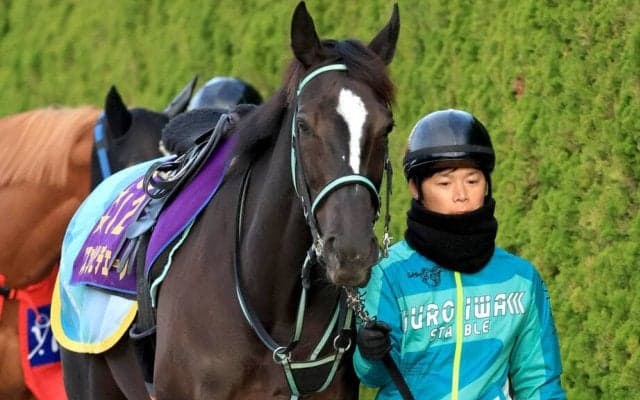 【阪神牝馬Ｓ】成長したアスコリピチェーノが始動戦を飾る　陣営「ヴィクトリアマイル連覇が目標」