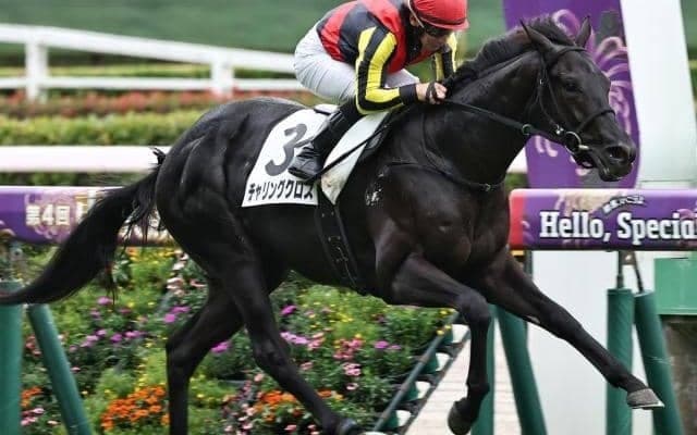 【山藤賞】全兄はクロワデュノール チャリングクロスが待望の2勝目なるか