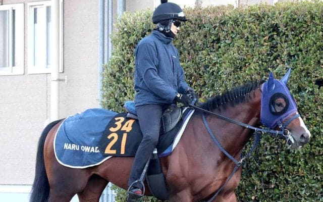 【ニュージーランドＴ】中山マイルで連勝中ディールメーカーには恵みの雨！？　大和田調教師「この馬には味方しそう」