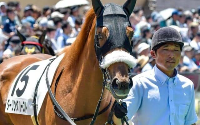 【忘れな草賞】半兄はフォーエバーヤング ダーリングハーストがオープン勝ちなるか