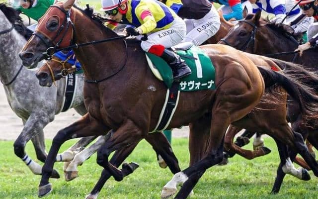 【福島民報杯】GIIで2着2回のサヴォーナ 1年5カ月ぶりの復帰戦だ