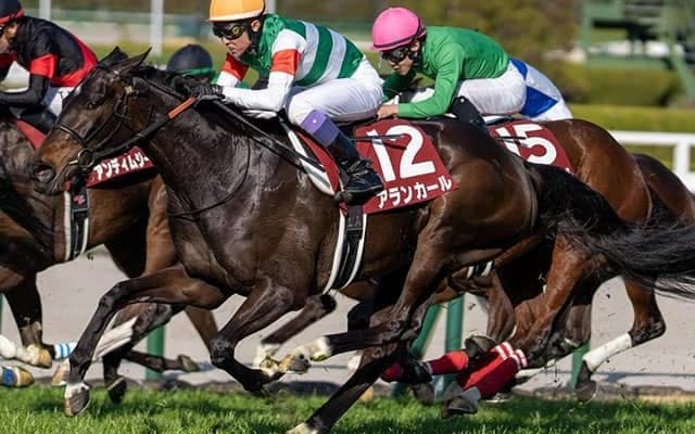 今週の武豊騎手は11鞍 アランカールで桜花賞の22年ぶり6勝目なるか