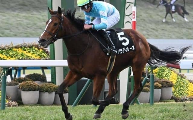 【福島牝馬S想定馬・騎手】パラディレーヌ、レーゼドラマなど17頭