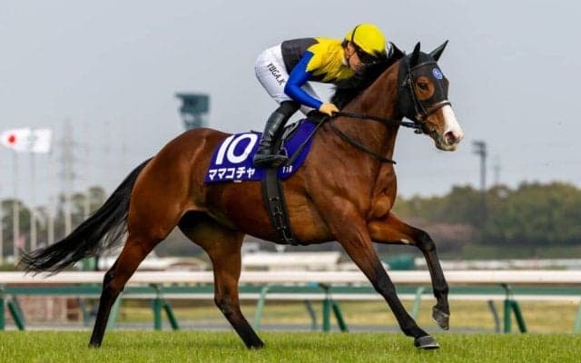 【東京スプリント】ママコチャなどJRA馬は5頭