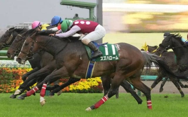 【ダービー卿CT】藤懸「本当に嬉しい」伏兵スズハロームが豪快な差し切り