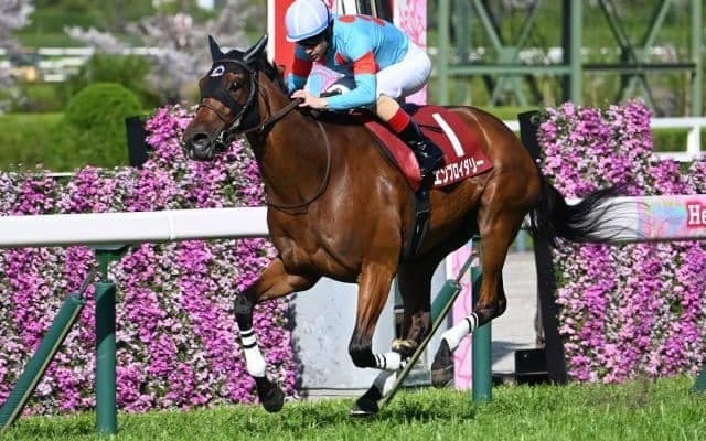 【阪神牝馬S結果】二冠牝馬エンブロイダリーが人気に応えて逃げ切りV！ 2着はオークス馬カムニャック