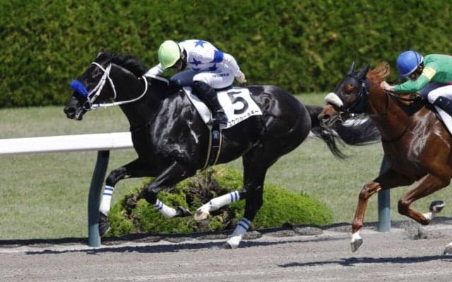 【阪神5R】初ダート・チュウワカーネギーがしぶとく粘って2勝目