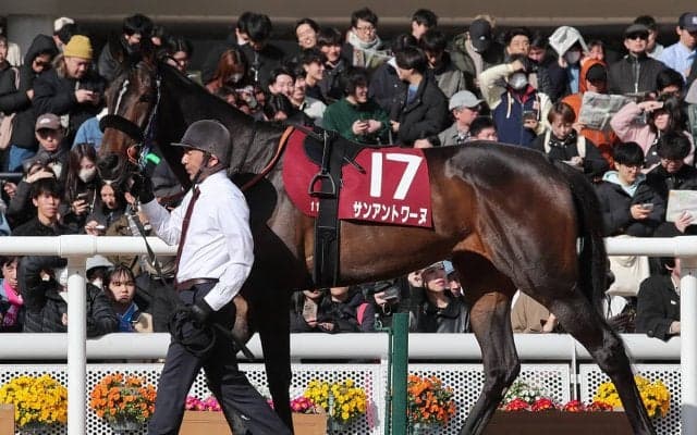 【競馬予想】人気２頭が中心視される桜花賞で、好配当をもたらす可能性がある伏兵２頭