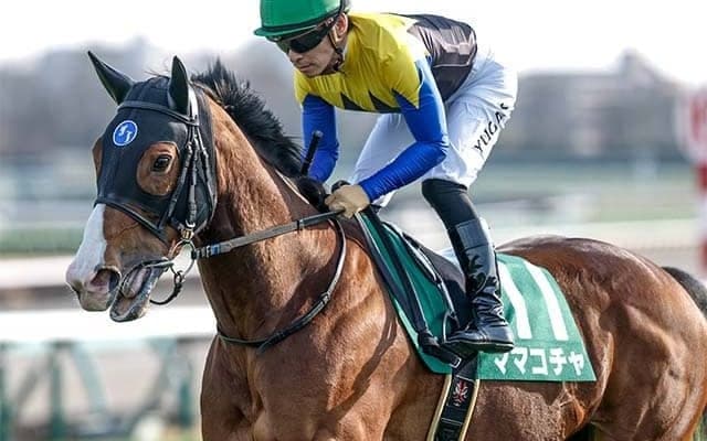 【大井・東京スプリント枠順】23年スプリンターズS覇者のママコチャは7枠13番、昨年のJBCスプリント勝ち馬ファーンヒルは5枠8番