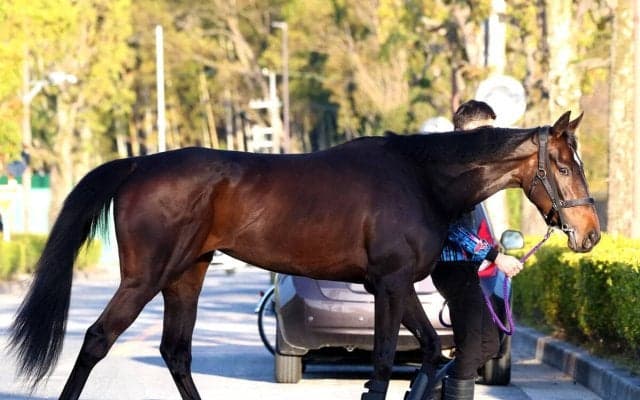 【桜花賞】「最後はいい脚で伸びてるけど…」武豊騎手のアランカールは後方追走から５着どまり
