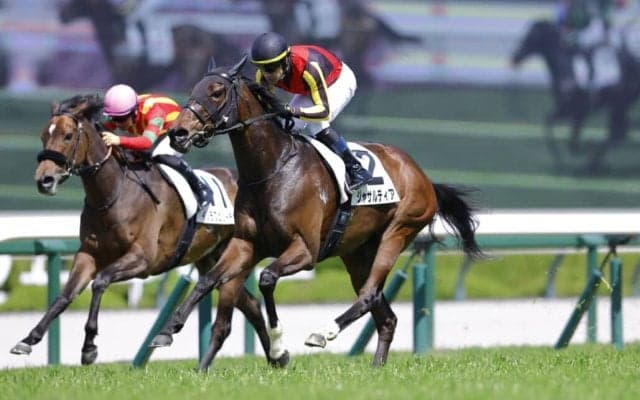 【阪神7R】良血ジャサルディアが断然の支持に応える