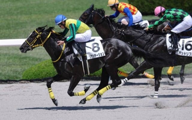 【阪神5R】8番人気の伏兵・リサシテーションが連勝