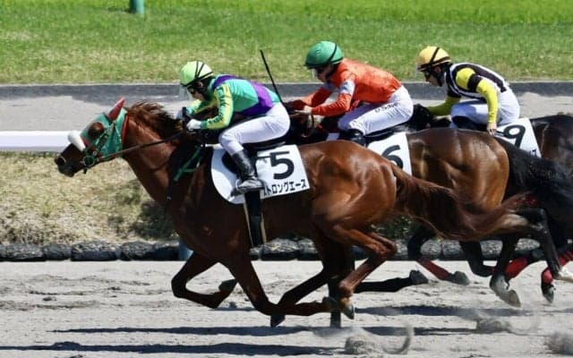 【中山6R】ヤマカツエース産駒・ストロングエースが2勝目