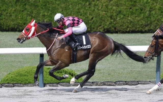 【川西特別】6番人気スマートカイロスが鮮やか逃げ切りV