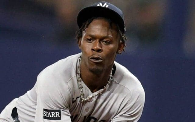 ヤ軍“問題児”が露呈した無知さ「球界で最もIQが低い」　米で非難殺到「ピエロを放出しろ」