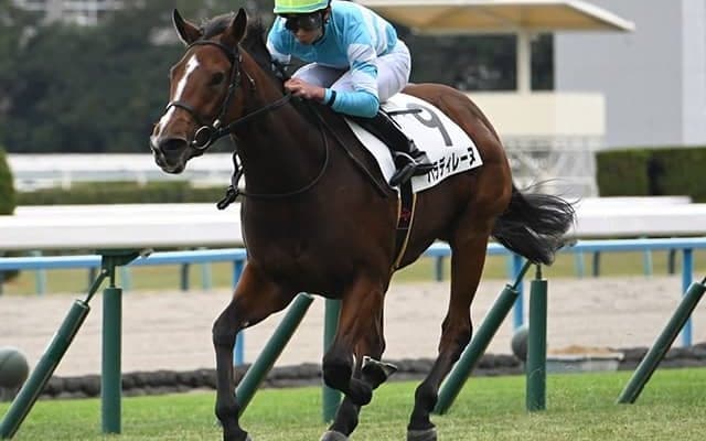 【福島牝馬S】パラディレーヌ、レーゼドラマなどが登録