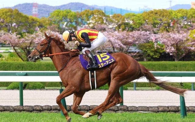 【桜花賞】圧勝１冠目ゲット「強いスターアニスを見せられてうれしいです」「自分の中では本当に負けられない戦いでした」松山喜び　