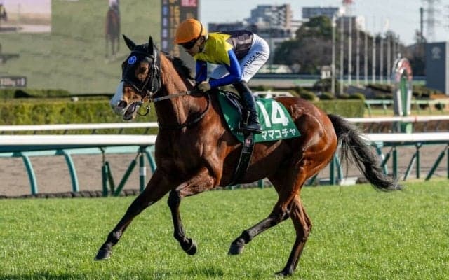 【東京スプリント】ママコチャは7枠13番