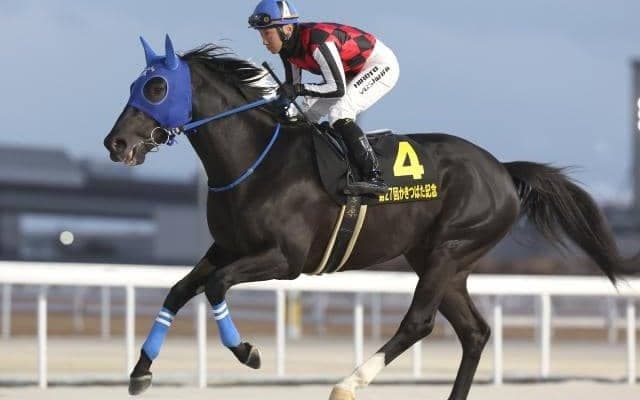 【大井・ブリリアントC枠順】横山武史騎手が騎乗するサントノーレは5枠9番 春の中距離SIII重賞