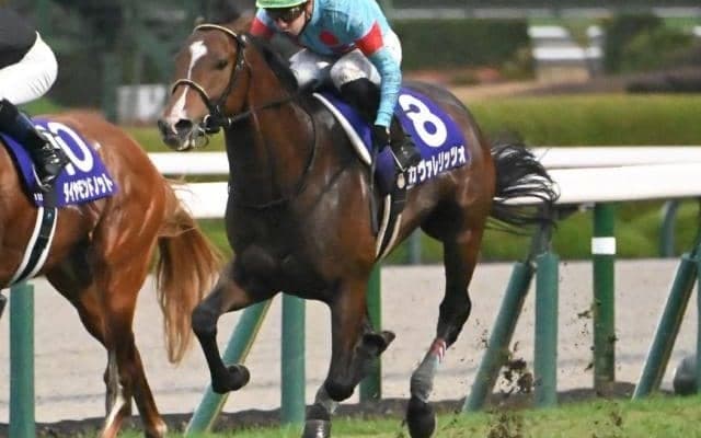 【皐月賞予想オッズ】カヴァレリッツォが予想1番人気