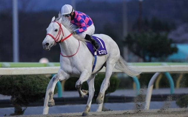 【水沢・赤松杯】ヒロシクンが4馬身差圧勝…高松亮「馬を信じて追い続けた」