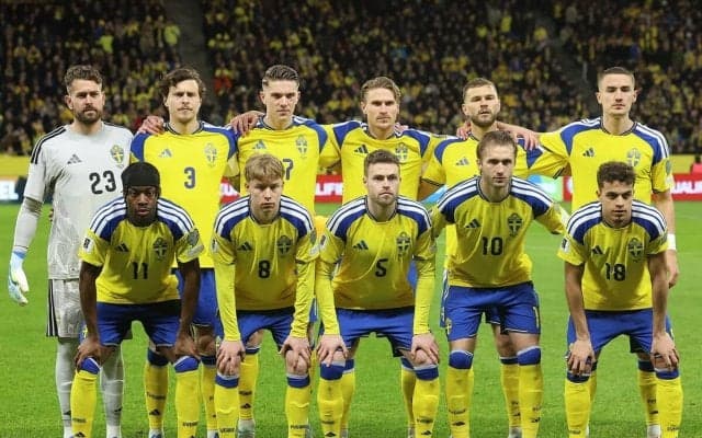 サッカー日本代表に難敵出現　ワールドカップ３戦目の相手スウェーデンは隠れたタレント集団
