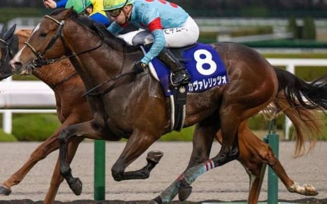 カヴァレリッツォ＆アルトラムス 史上12組目の皐月賞父仔制覇なるか