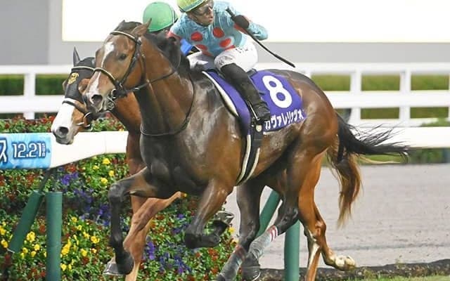 皐月賞登録馬の香港表記・馬名意味を紹介 「馬上特技」や「天狼煌煌」など全21頭