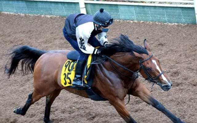 【福島牝馬Ｓ】パラディレーヌ重賞初制覇へ軽快なフットワーク　福島カギも千田調教師「（能力で）クリアしてほしい」