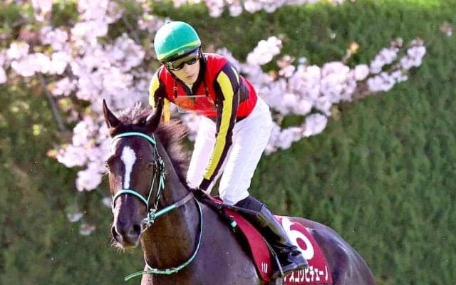 【注目馬動向】阪神牝馬Ｓ１０着のアスコリピチェーノ　臀筋繊維の損傷による内出血が判明　放牧後に改めて検査予定
