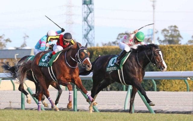 ２２年のシンザン記念を勝ったマテンロウオリオンが競走馬登録を抹消　阪神競馬場で乗馬に